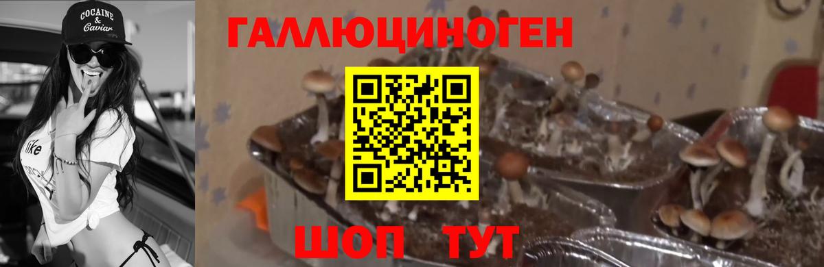 Псилоцибиновые грибы ЛСД  Галлюциногенные грибы прущие грибы  Югорск  Вход с VPN 